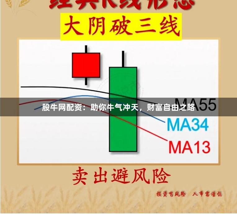 股牛网配资：助你牛气冲天，财富自由之路